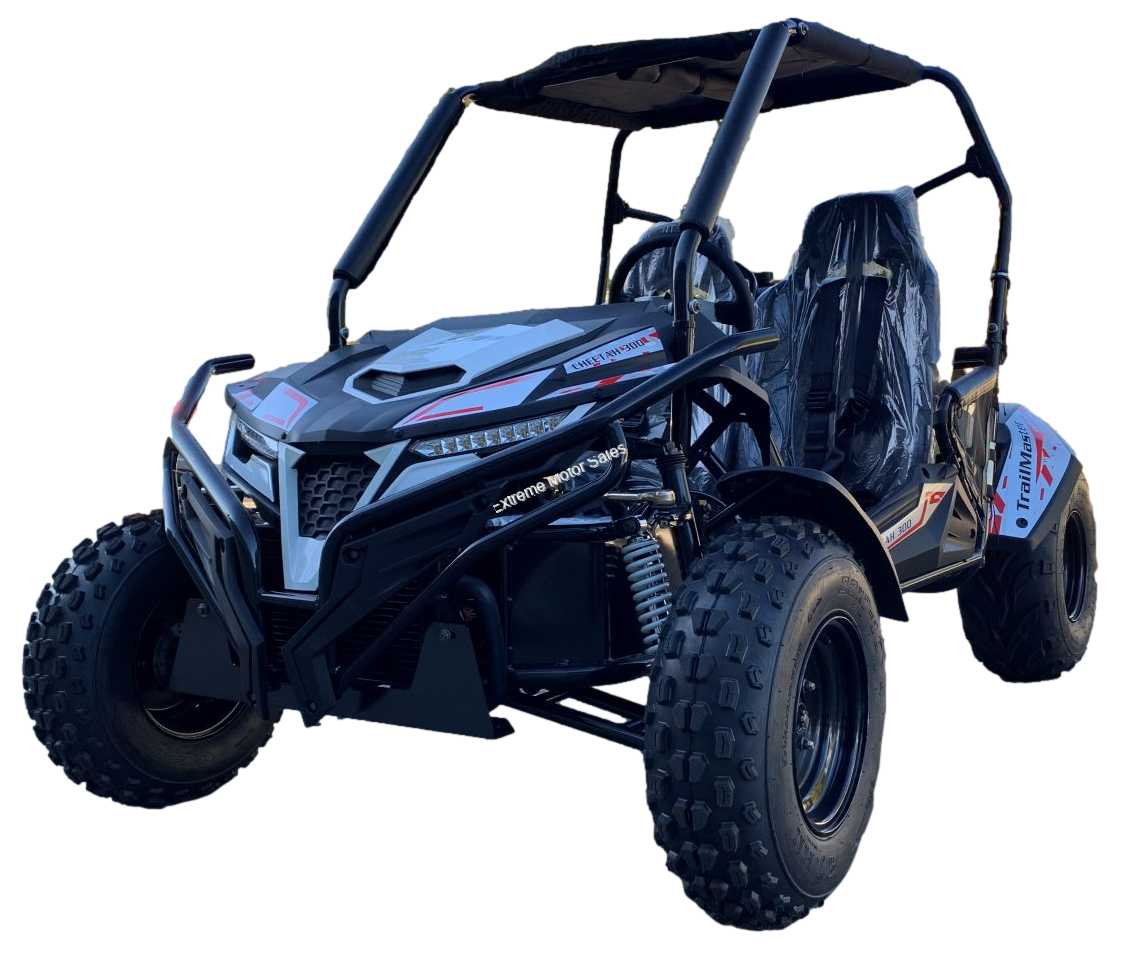 TrailMaster Cheetah 300E Go Cart Go Kart CVT Auto w/Reverse EFI > UTV